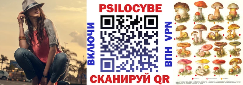 Галлюциногенные грибы Cubensis  Семикаракорск 